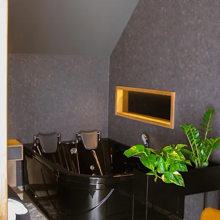 Twin Premium Hotel de apartamente Tihany