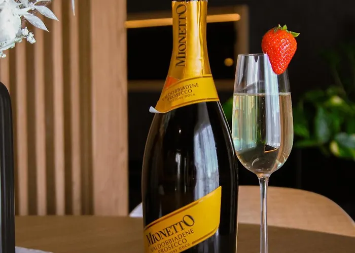 公寓式酒店 Twin Premium 4*