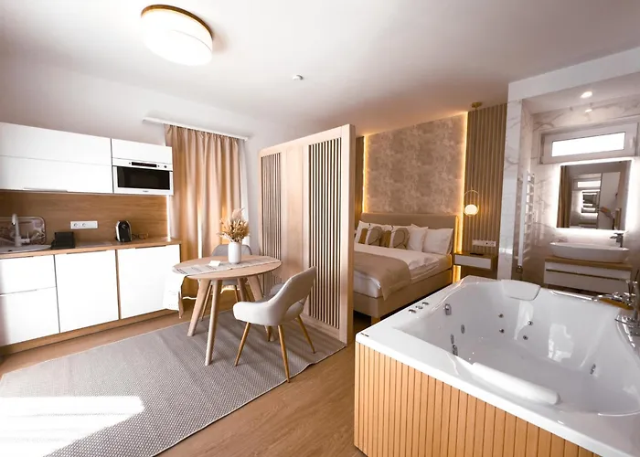 Twin Premium 公寓式酒店 4*